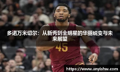 多诺万米切尔：从新秀到全明星的华丽蜕变与未来展望